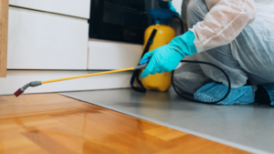 pest control company in Winnipeg