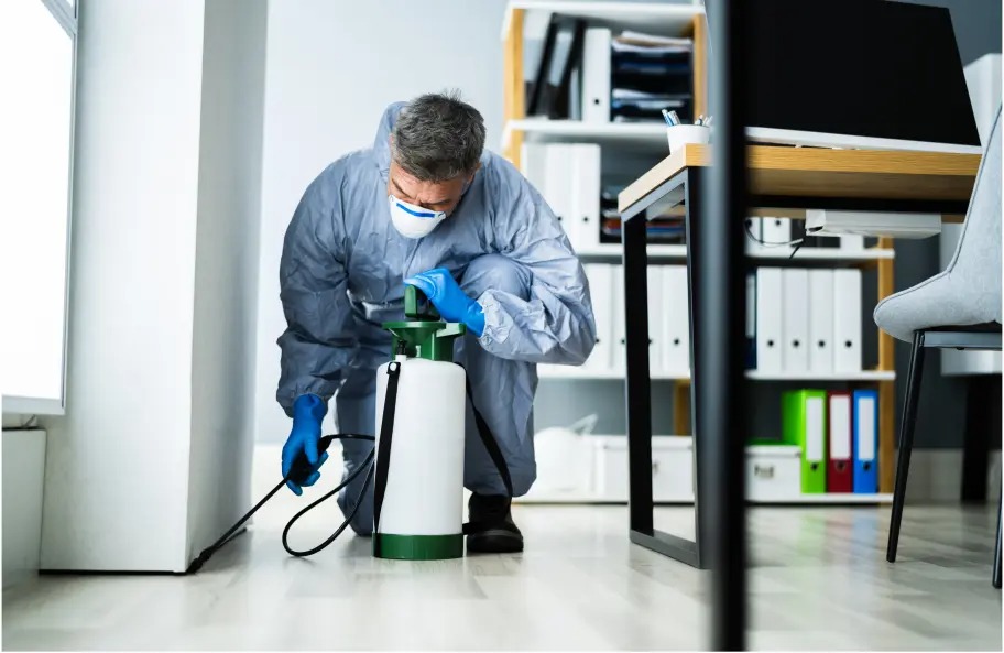 pest control service in Winnipeg

